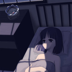 雪花 -きら-Yukibana -Kira- | Galgame数据库